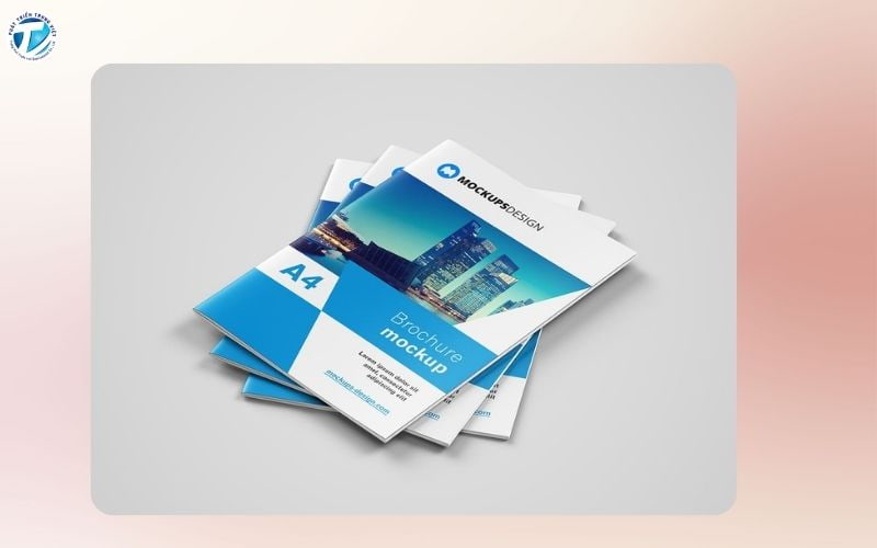 In catalogue, brochure chuyên nghiệp